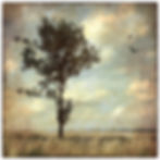 Polish Countryside