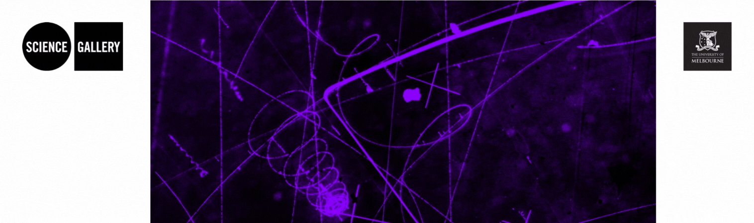 STEAM - Wix Banner .gif