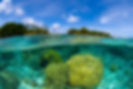 Picture of Coral reef overunder at the Marshall Islands.jpg