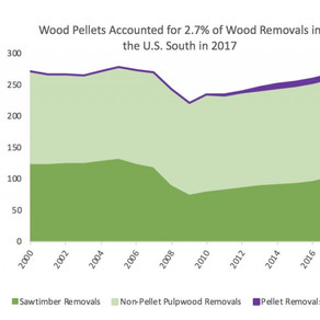 How much of the forest do we use?