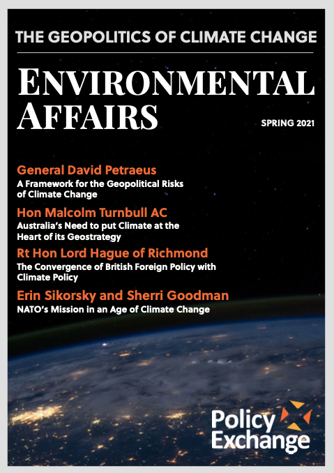 General petraeus thesis 07 image