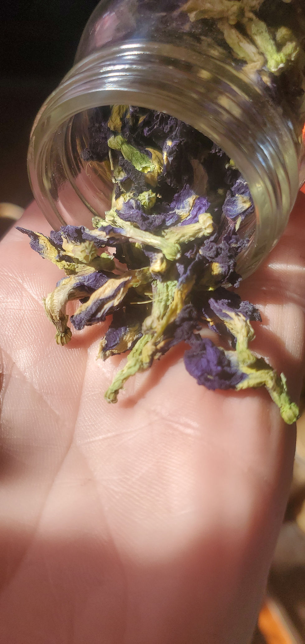 Thumbnail: Hummingbird Bliss Tea