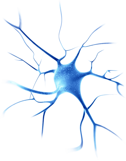 neuron.png