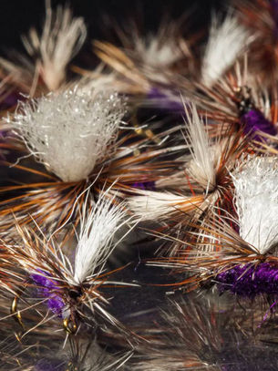 40|40 : 40 Day Challenge