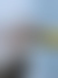 28|40 : 40 Day Challenge