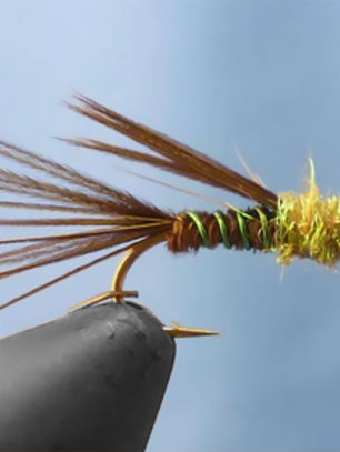 28|40 : 40 Day Challenge