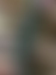 3|40 : 40 Day Challenge