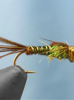 29|40 : 40 Day Challenge