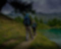 BloomCatch_Landing-Page_Background-Botto