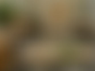 Continual Growth for Deeper Healing