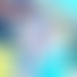 It takes a Village or a Tribe