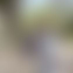 Bring Light to the Darkest Winters