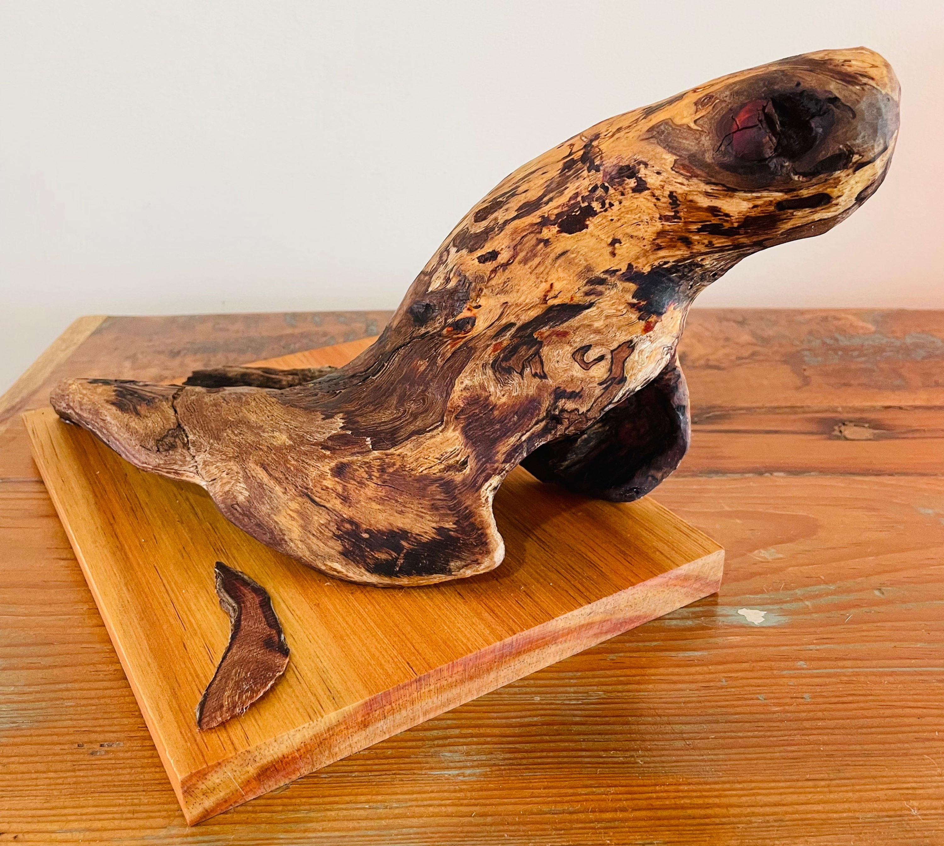 Sea turtle - breaking the surface for air. (Copyright laws apply)