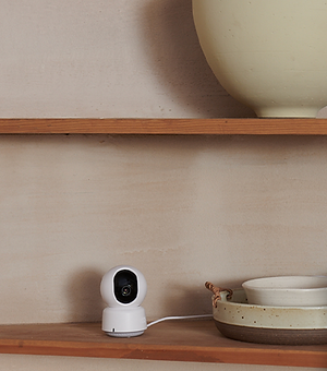 Smart Home Cameras.png