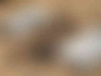 Charcuterie Board | Cheese Board | Sweet & Savory Board