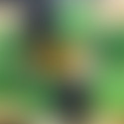 Growing microgreens in an apartment