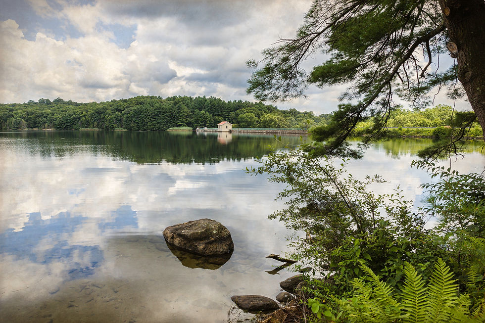 30 September 2022 Events to Enjoy in Fairfield County, CT 