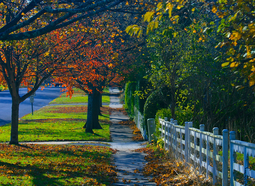 The Hamptons - event guide november 2021