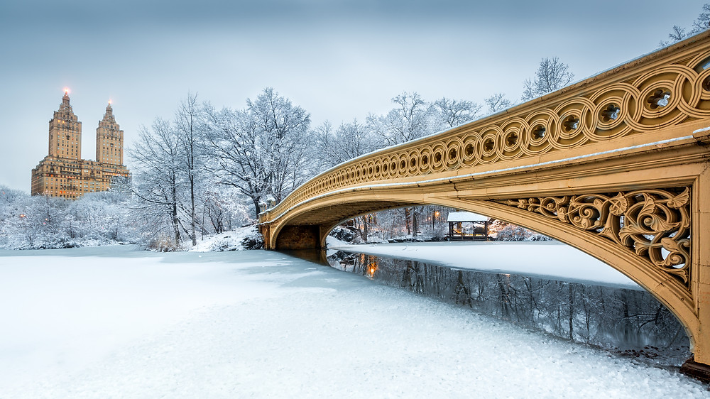 Central Park NYC event guide January 2022
