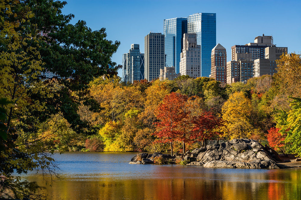 Central Park - New York City Event Guide November 2021