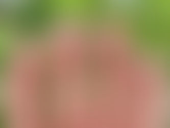 Mis emociones prohibidas