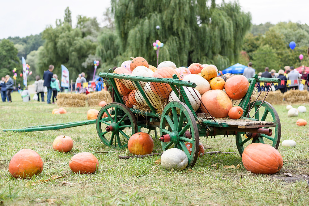 Fall Festival Weekend in Herrick Park - East Hampton