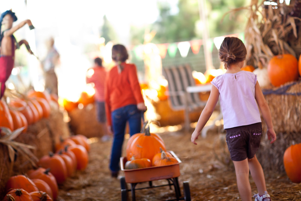 New Jersey events October