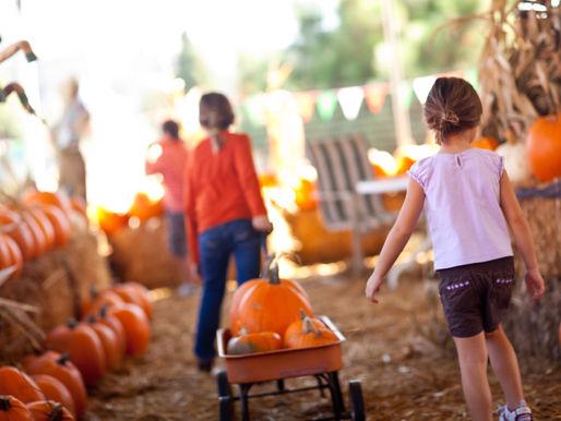 Here's What's Happening in Northern New Jersey in October 2021