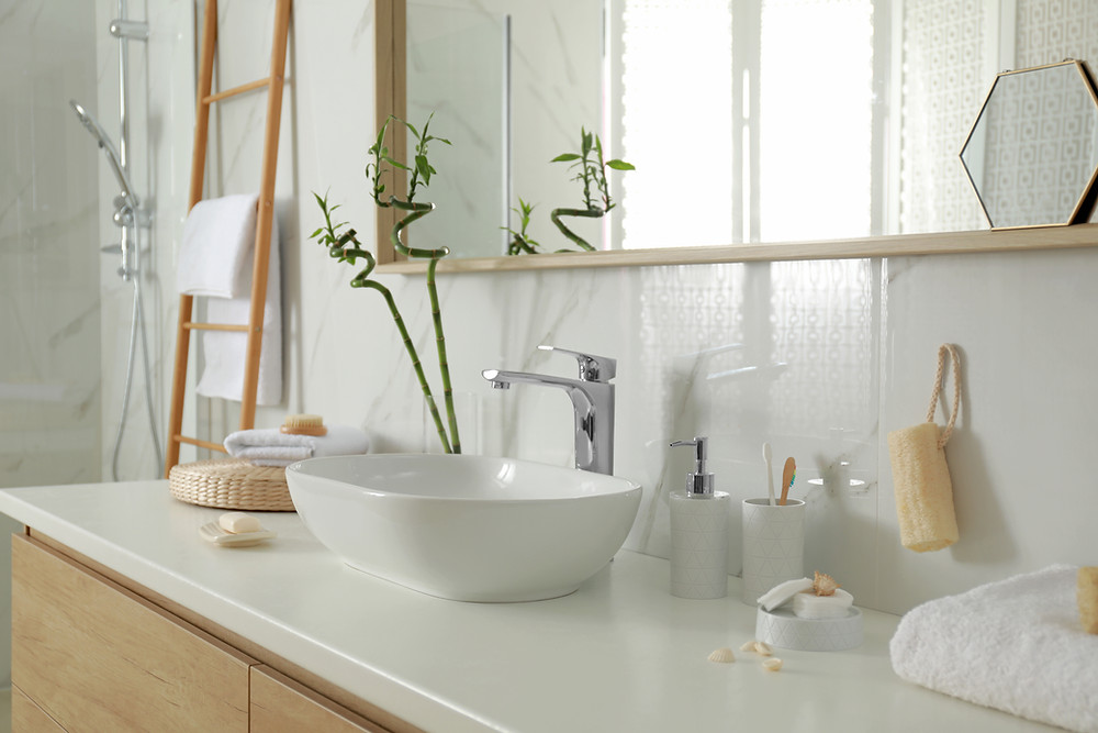bathroom interior plants