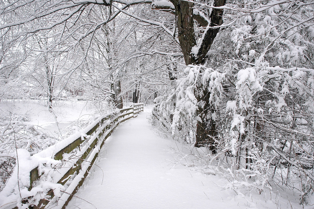 Connecticut events what to do in December