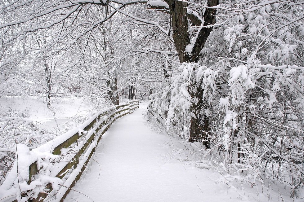 Connecticut events what to do in December
