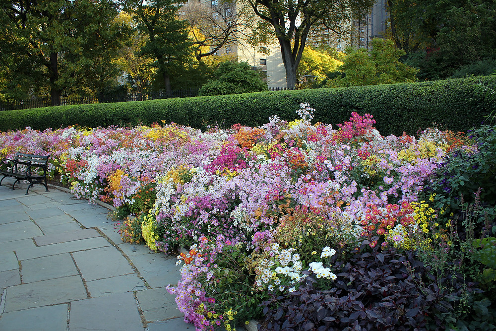 The Central Park Conservatory Garden