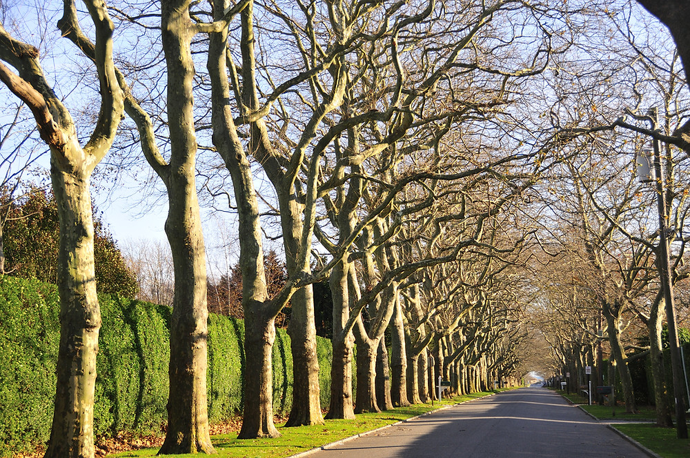 Southampton - The Hamptons - event guide november 2021