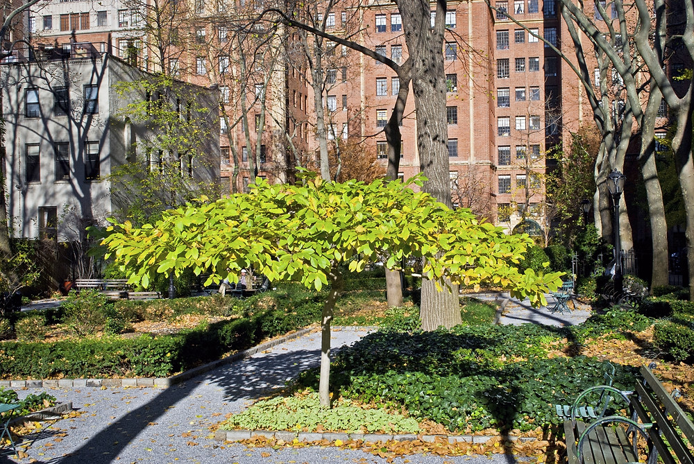Tudor City Greens, Manhattan, 42nd Street and First Avenue