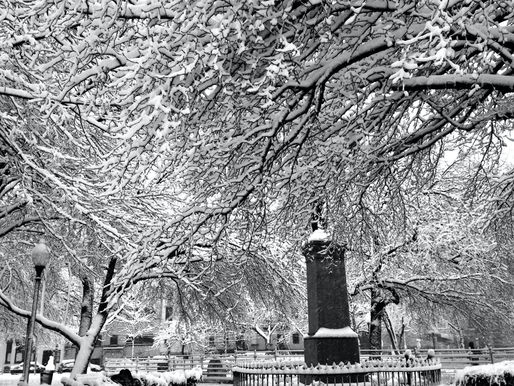 Make the Most of December 2021 in New Jersey with these Can't-Miss Events