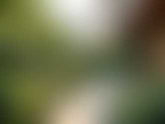 SDGsを活用した企業価値の向上法