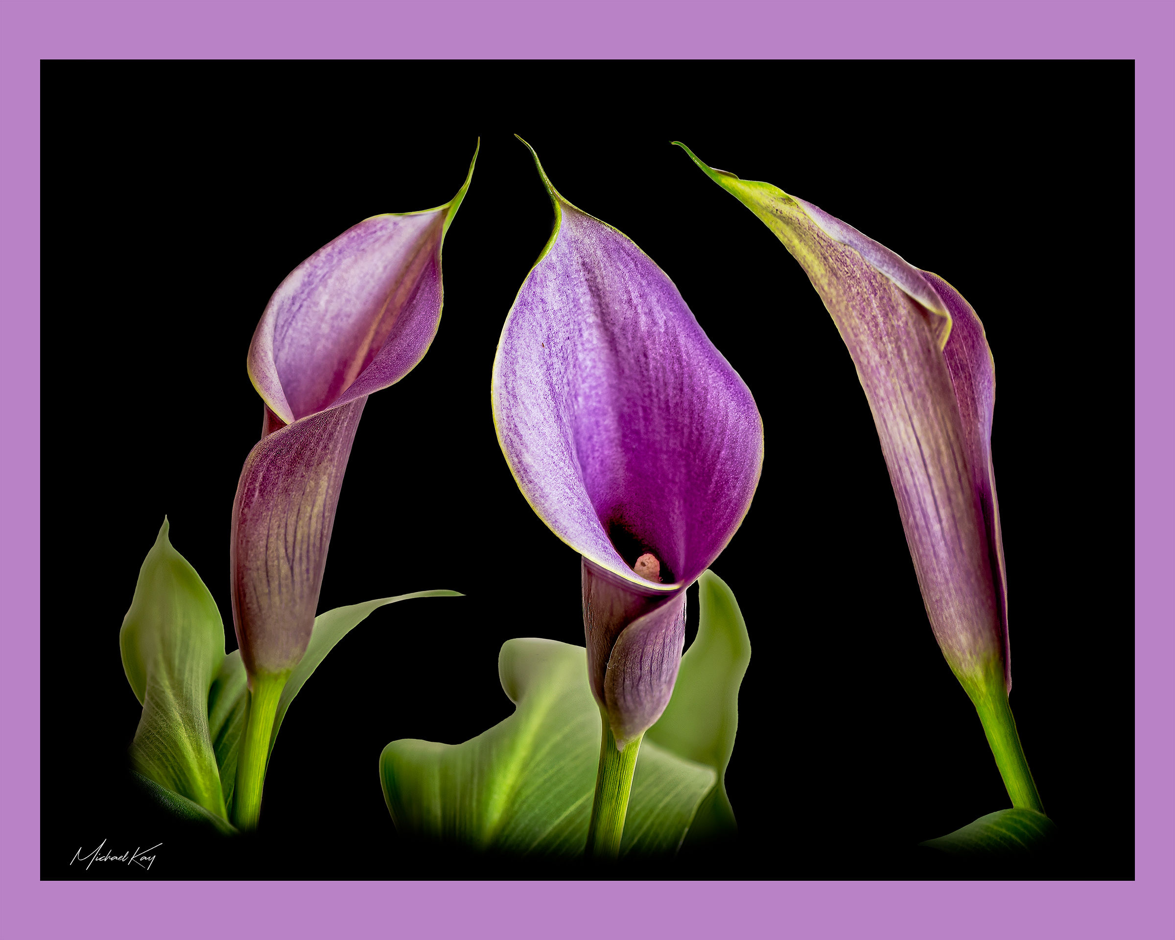 Michael Kay, Three Callas