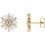 Thumbnail: Parisian snow flake