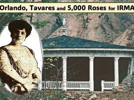 Orlando, Tavares & 5,000 Roses for Irma