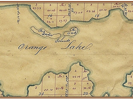 Florida's Sweet Orange