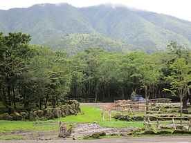 富士サファリパーク サファリゾーンの景観