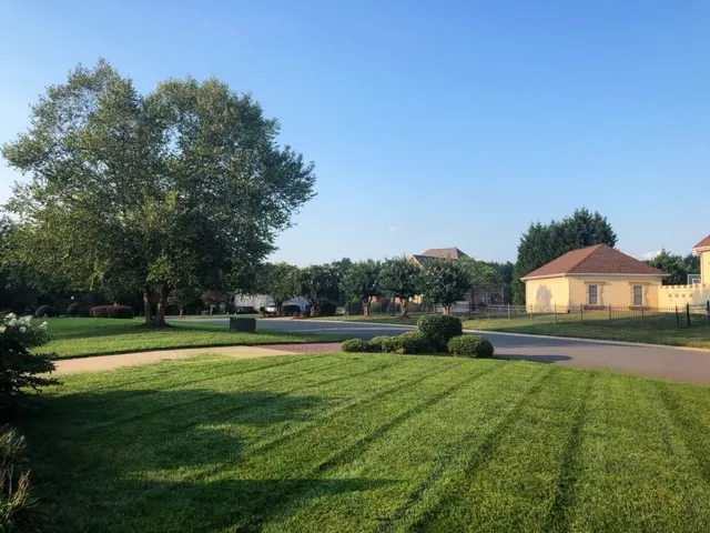 tanner lawn care on Nf1vg7qdaeehom