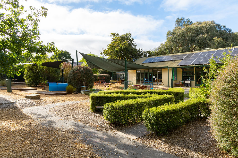 Palm Grove Preschool_027