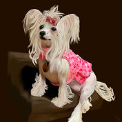 Photo 31-08-2020, 18 45 18.jpg