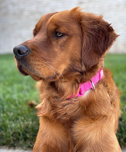 Ella