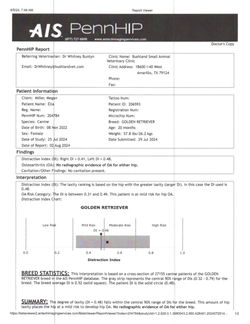 Ella PennHip Results