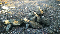 db0124de-45bb-4279-a972-a34bb045afb5