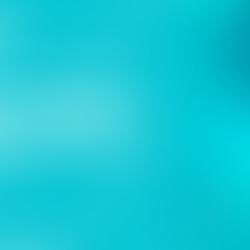 2.25 Million Workers: In the Hands of More Workers than Any Other Tool in the Industry