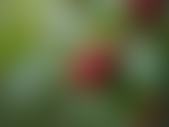 The Glow Starts with Skincare: Why Clean Beauty Matters