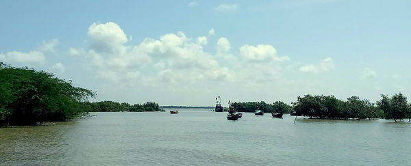 IMG_20180909_100750651.jpg